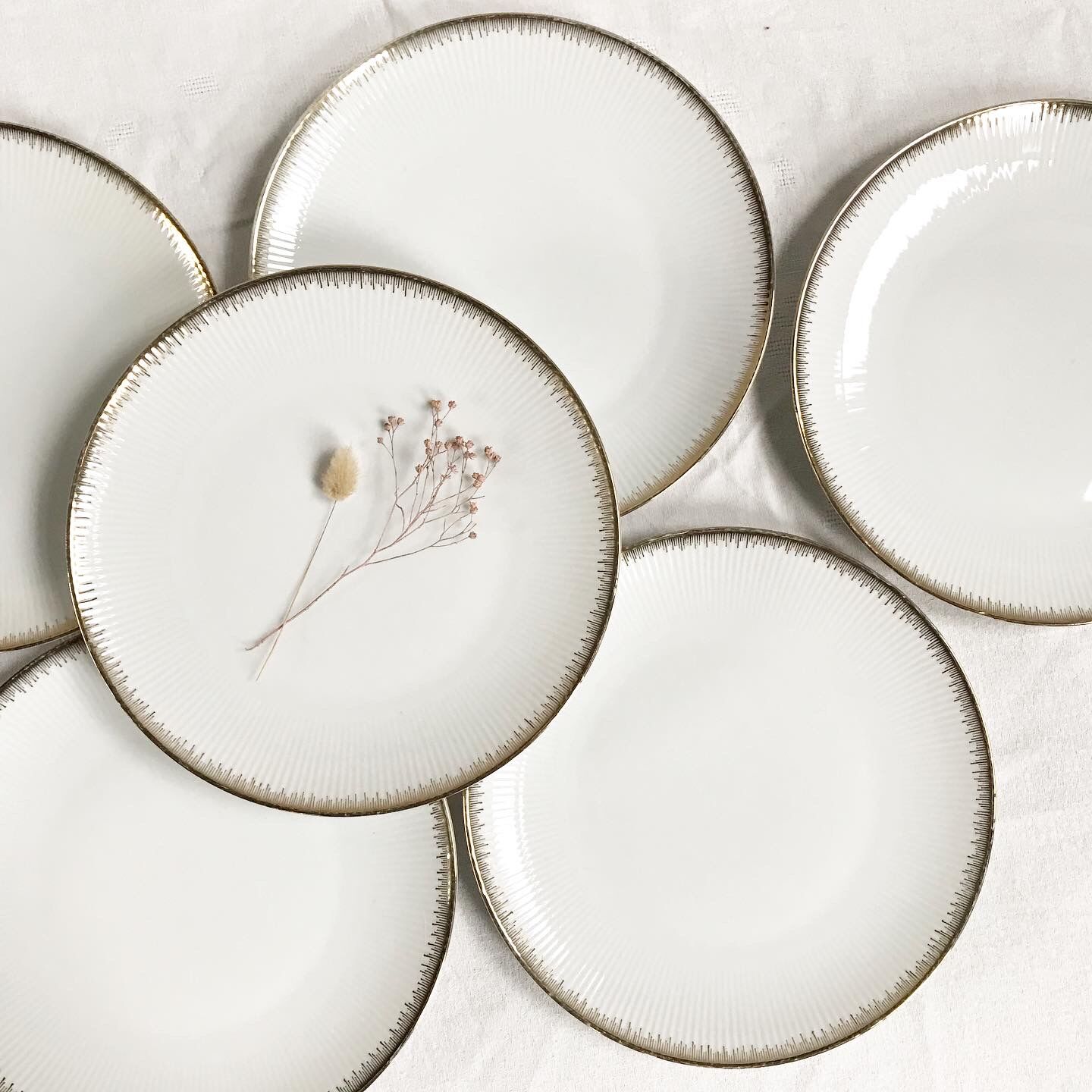 Lot of 6 flat porcelain plates