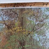 Tableau paysage signé M. Hail
