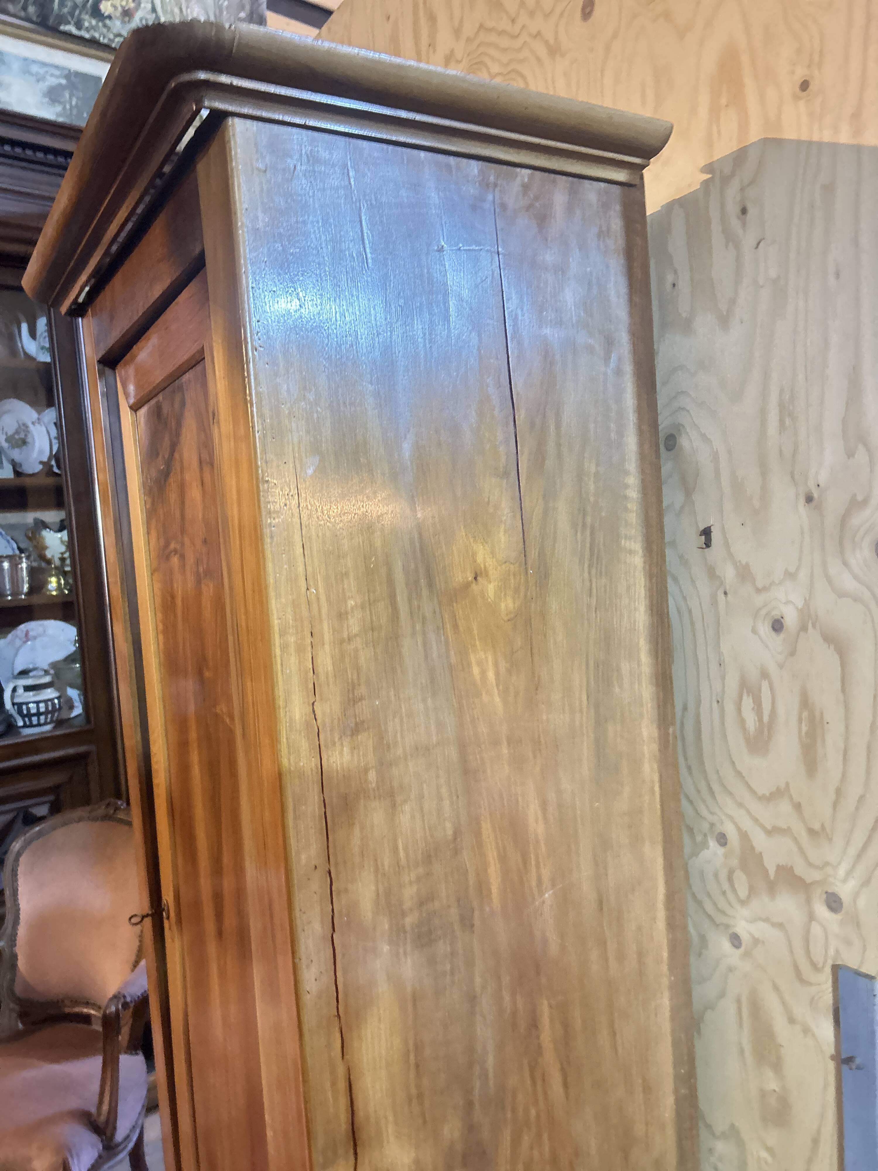 Standing man or a Louis Philippe wardrobe door.