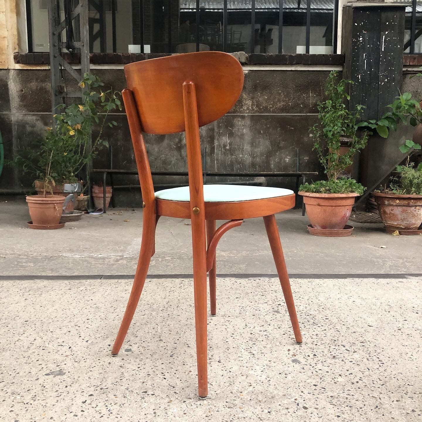 Suite de 6 chaises Baumann modèle 731 G1S, 1960