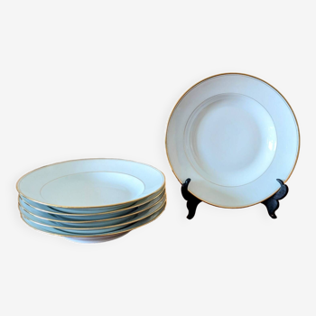 Luxury Porcelain soup plates