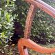 Chinese armchair - horseshoe - Very good condition