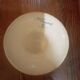 Anthemis nobilis apothecary pot st clement earthenware