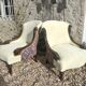 Pair of 19th century armchairs