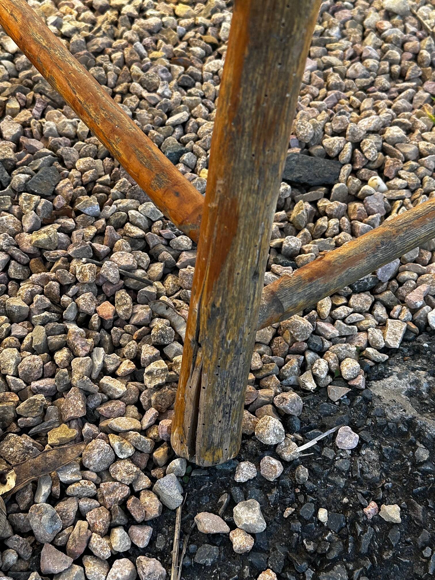 Rattan and chestnut living room