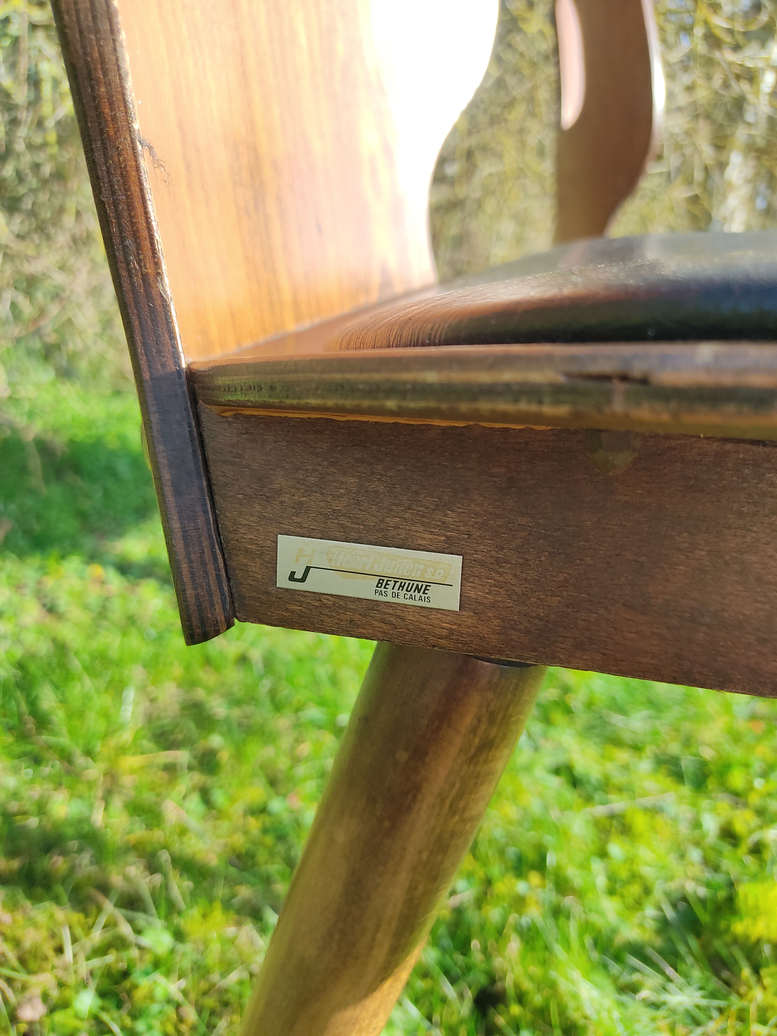 Baumann chairs x2 Ant model