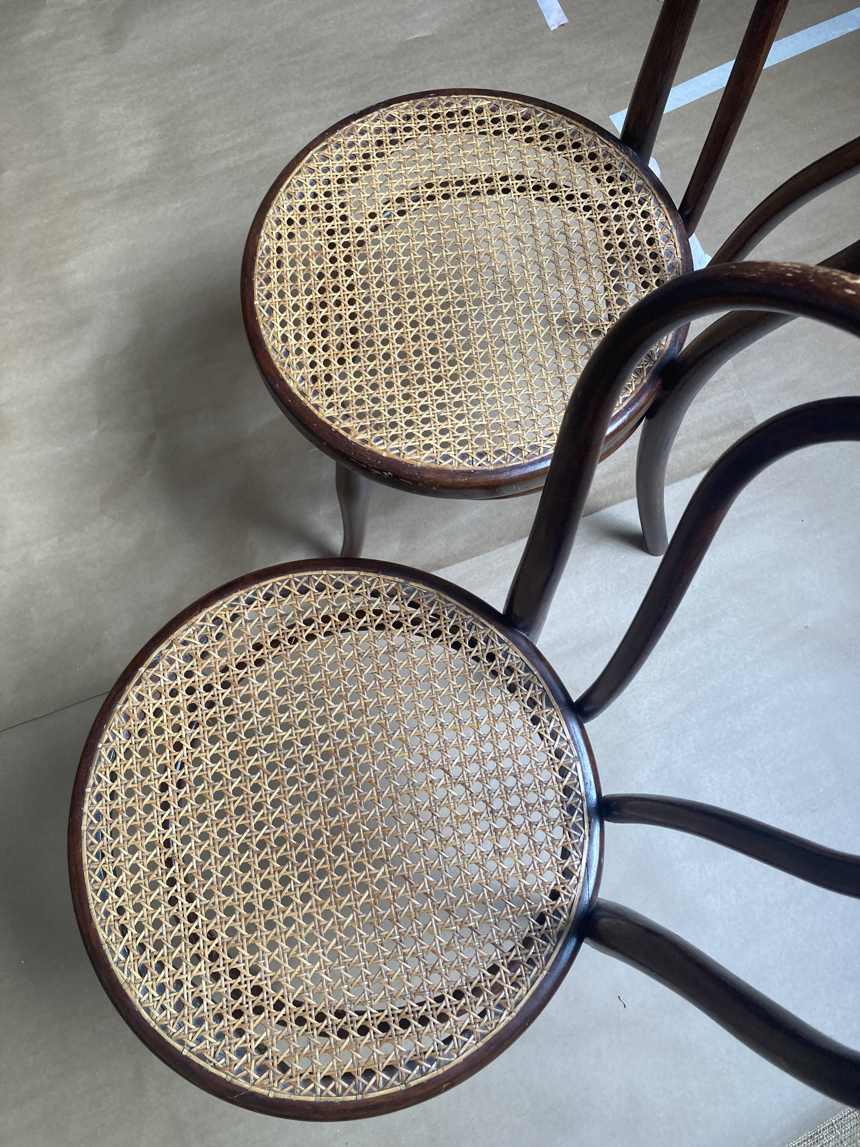 Chaises Thonet n°18