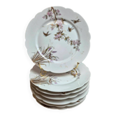 7 assiettes anciennes en porcelaine – Décor oiseaux et fleurs polychromes