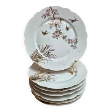7 assiettes anciennes en porcelaine – Décor oiseaux et fleurs polychromes