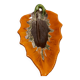 Coupe de fruits Vallauris