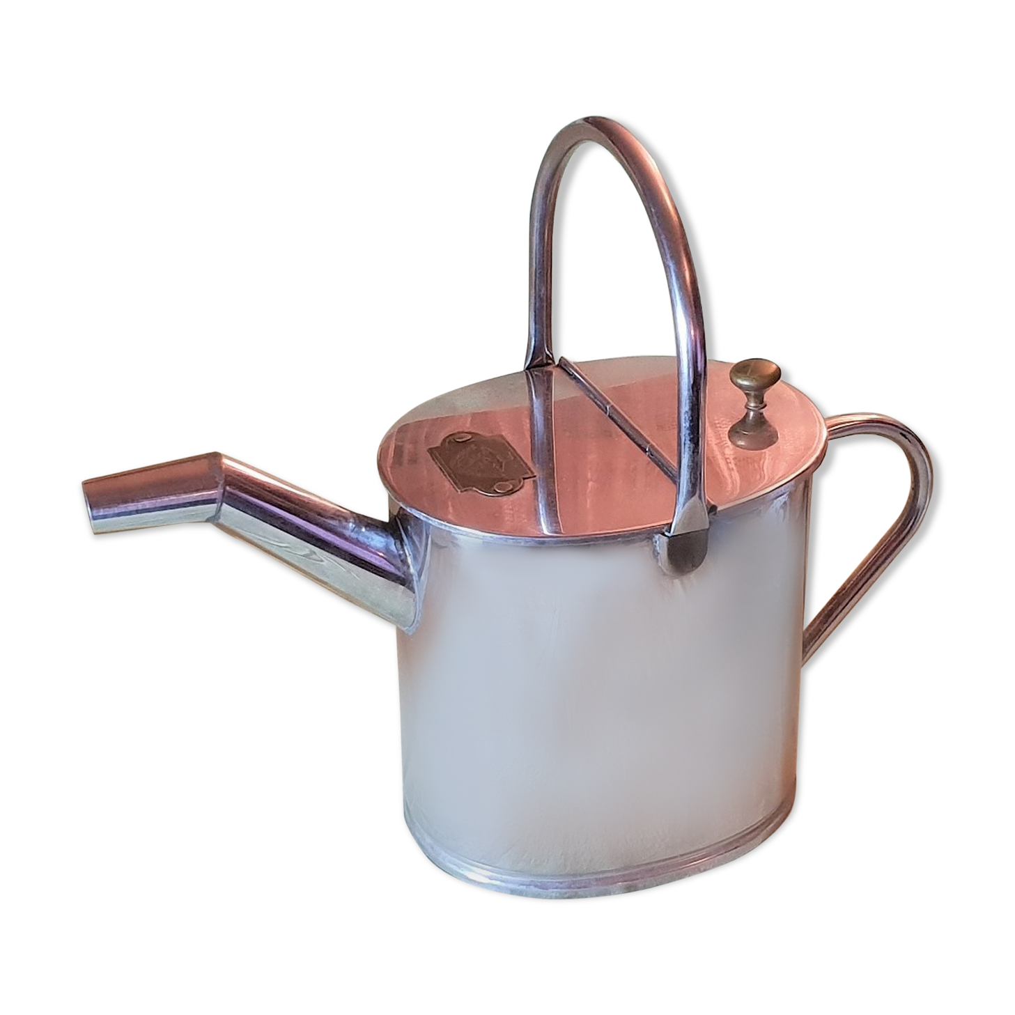 Galvanized stainless steel sprinkler and brass