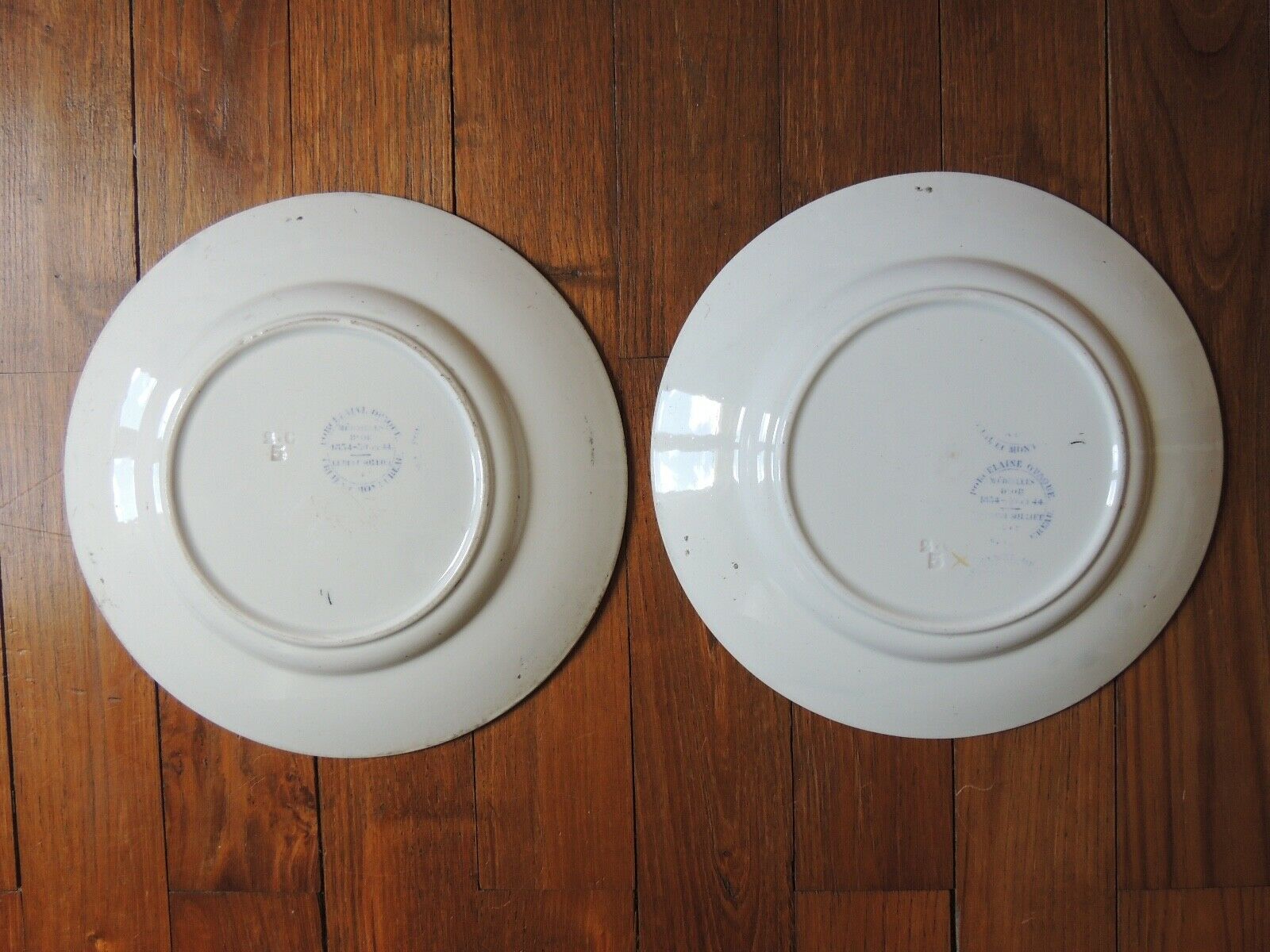 Set of 2 plates in faience Creil Montereau pagoda decorations