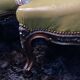 Paire de larges fauteuils XIXe en cuir vert de style Louis XV