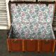 Travel trunk