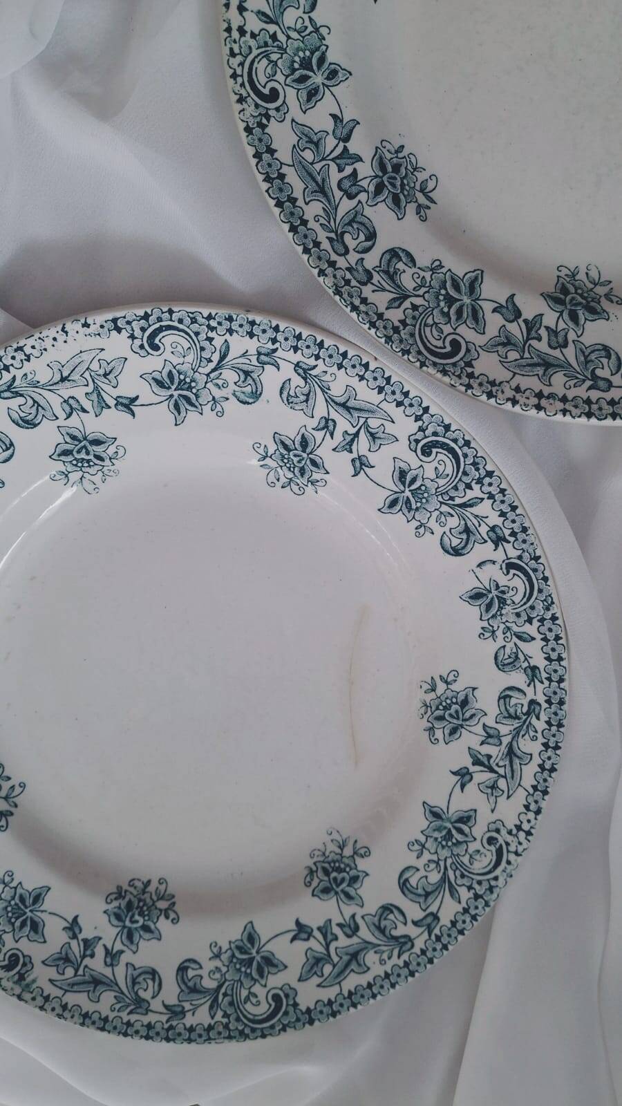 Set of 4 antique ironstone plates from Saint-Amand, "Jane" model.