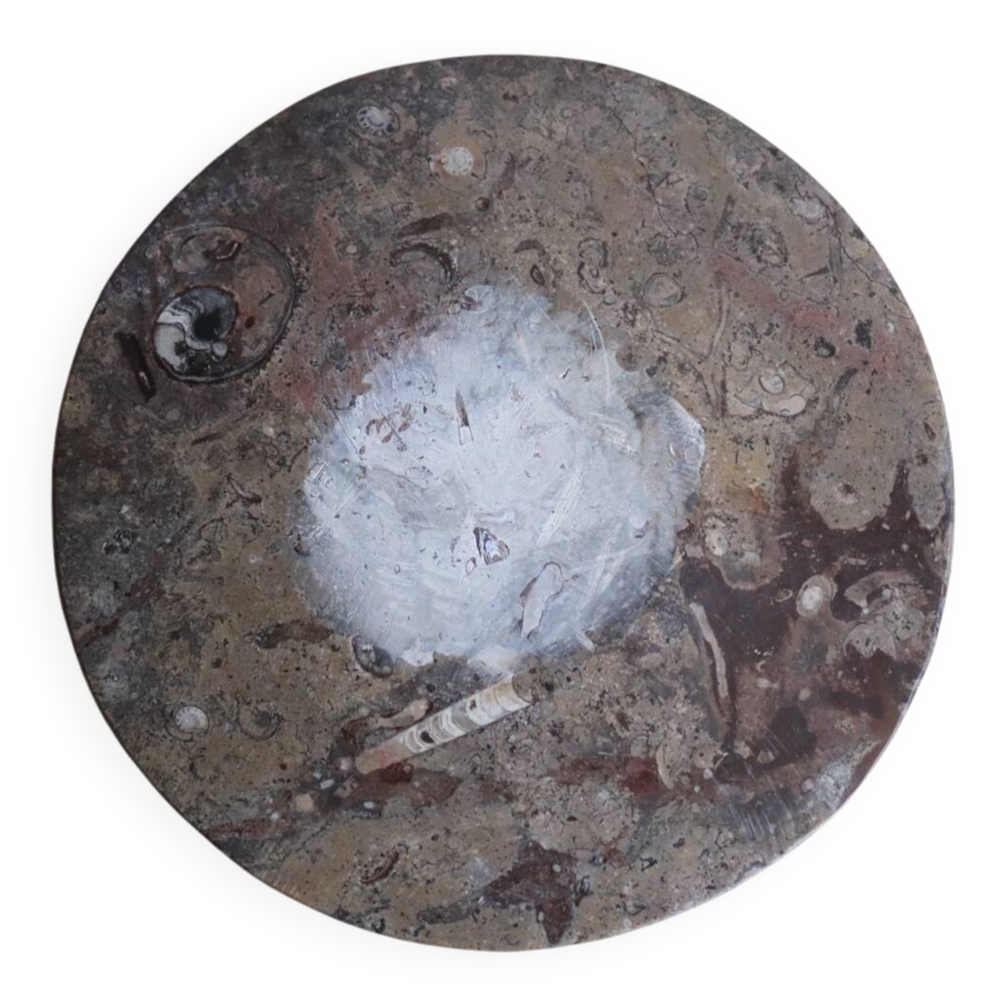 Vintage round fossil stone plate