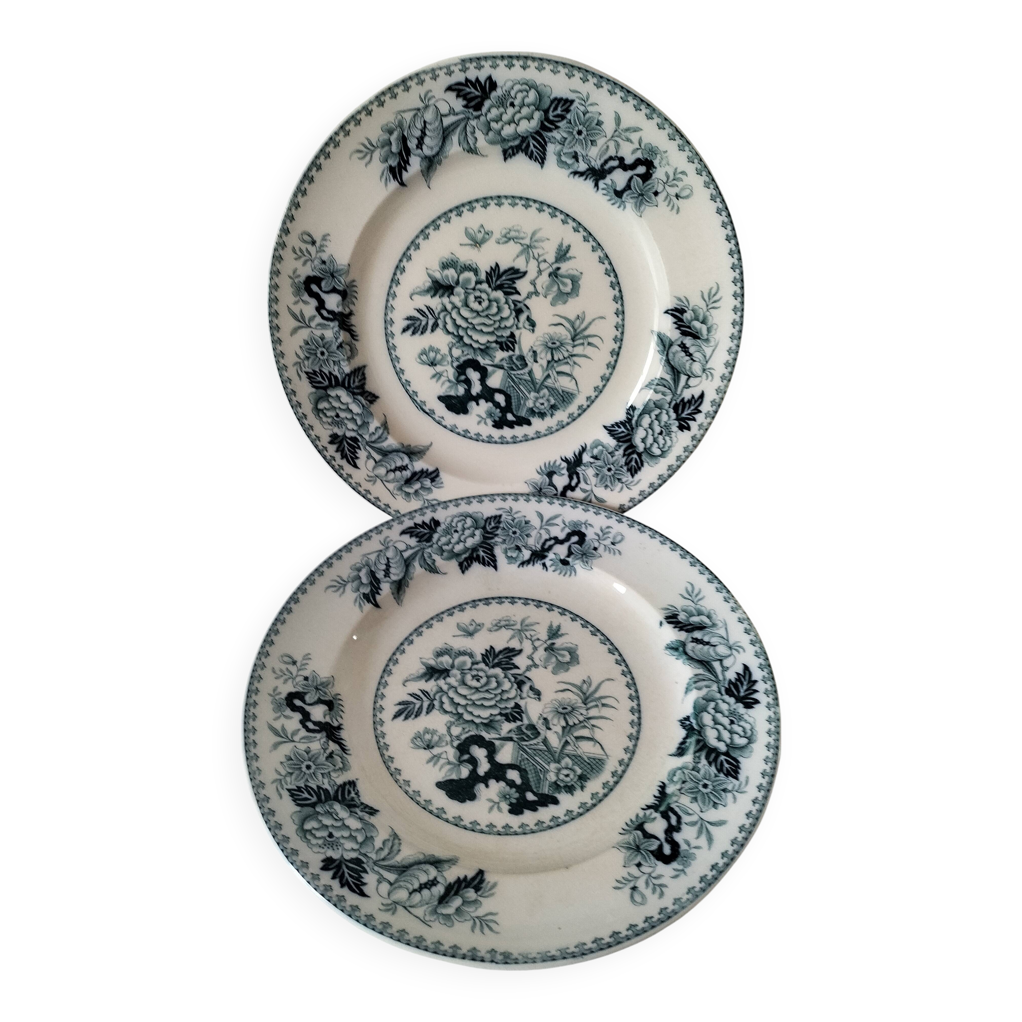 Vintage Wedgwood Bullfinch Plates