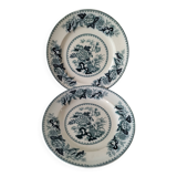 Vintage Wedgwood Bullfinch Plates