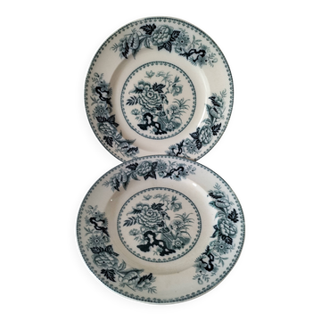 Assiettes vintage Wedgwood décor Bullfinch