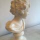 Plaster bust