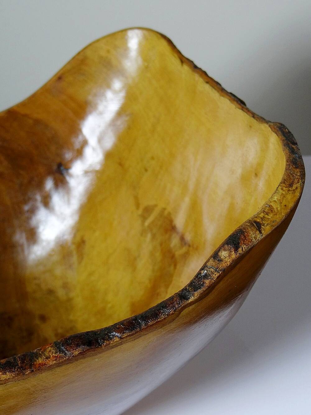 Large olive wood bowl Riviera brutalist craftsmanship circa 1950