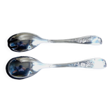 Silver metal salad cutlery set