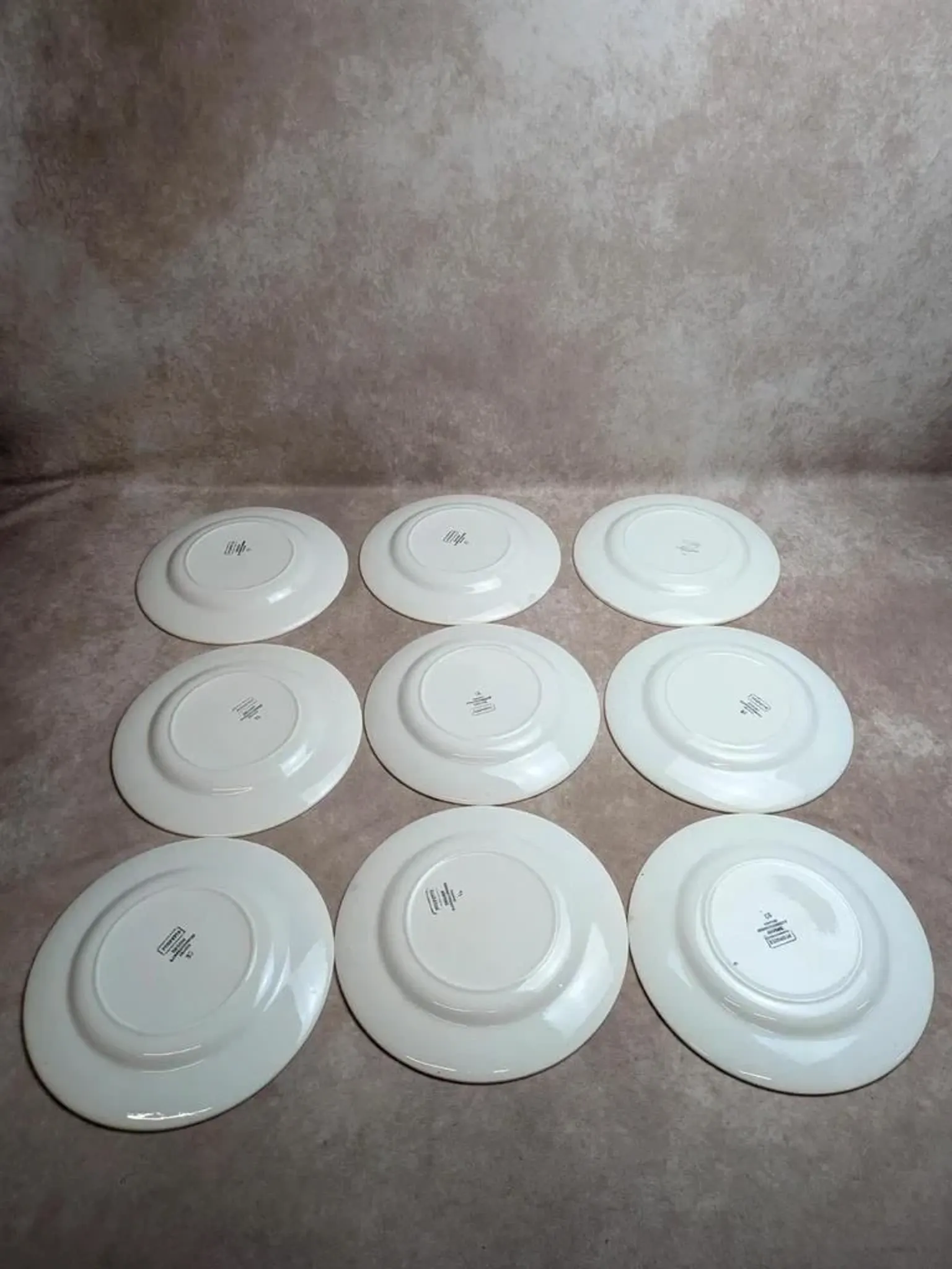 Set of 9 flat plates in ironstone Digoin Sarreguemines – Poupette model – Vintage