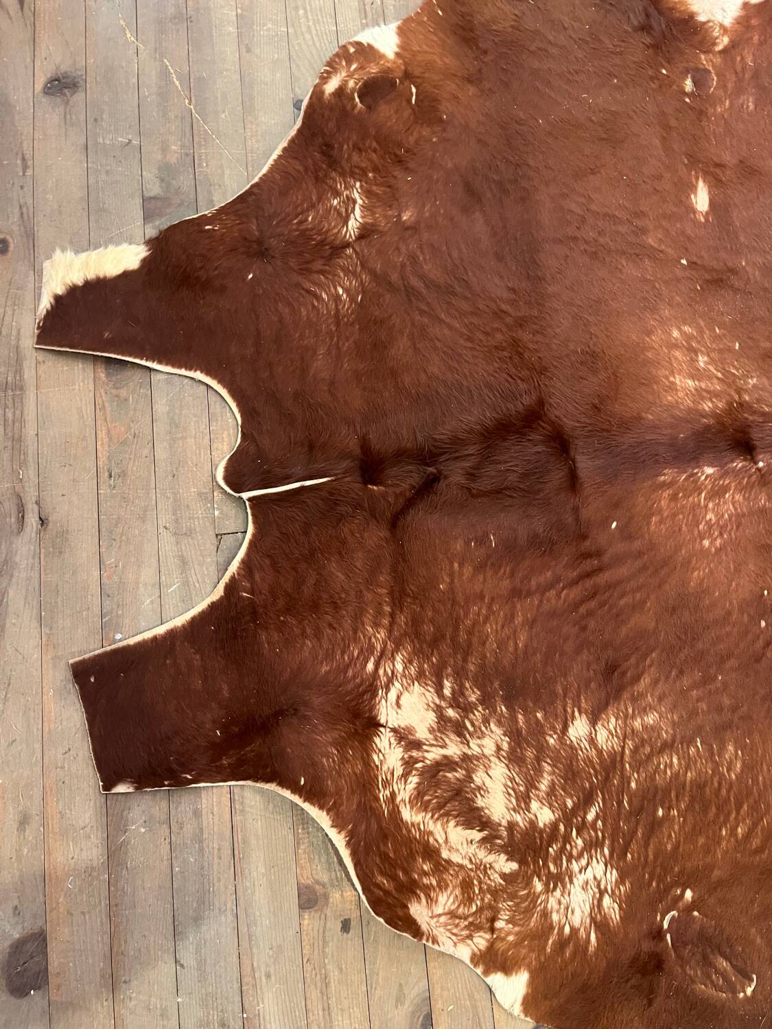 Cow rug