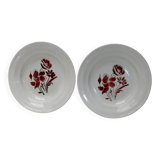 Ceranord St Amand plate with flower decoration and cutlery set