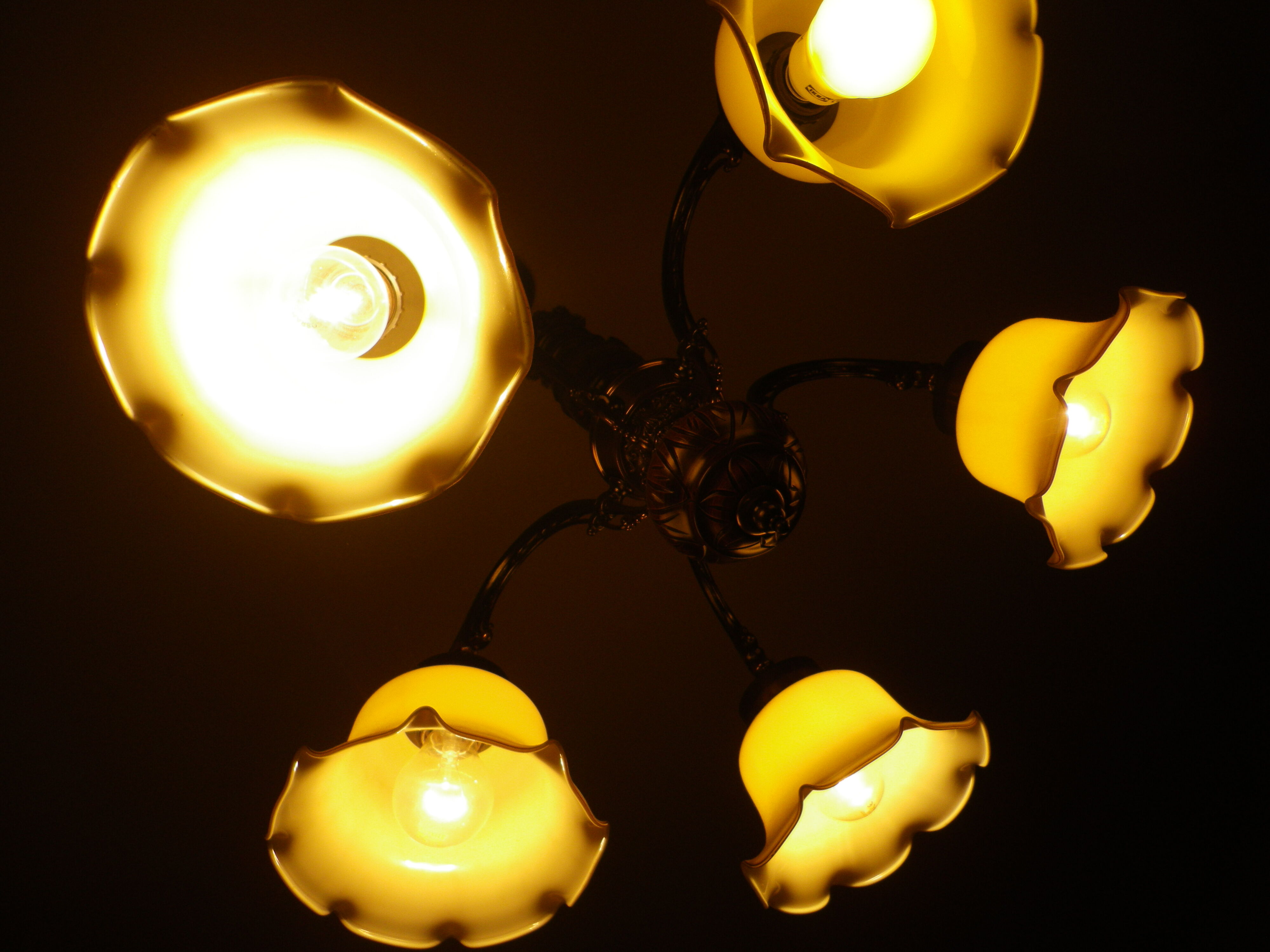 Five-branch suspension in wood and gold metal with a corolla opaline lampshade.