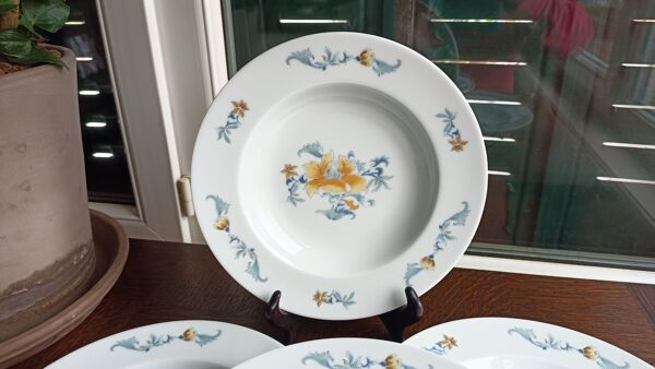 5 assiettes creuses en porcelaine de Limoges par Bernardaud - Lhassa Soap