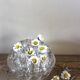 Round flower frog glass 20 holes large format vintage vase