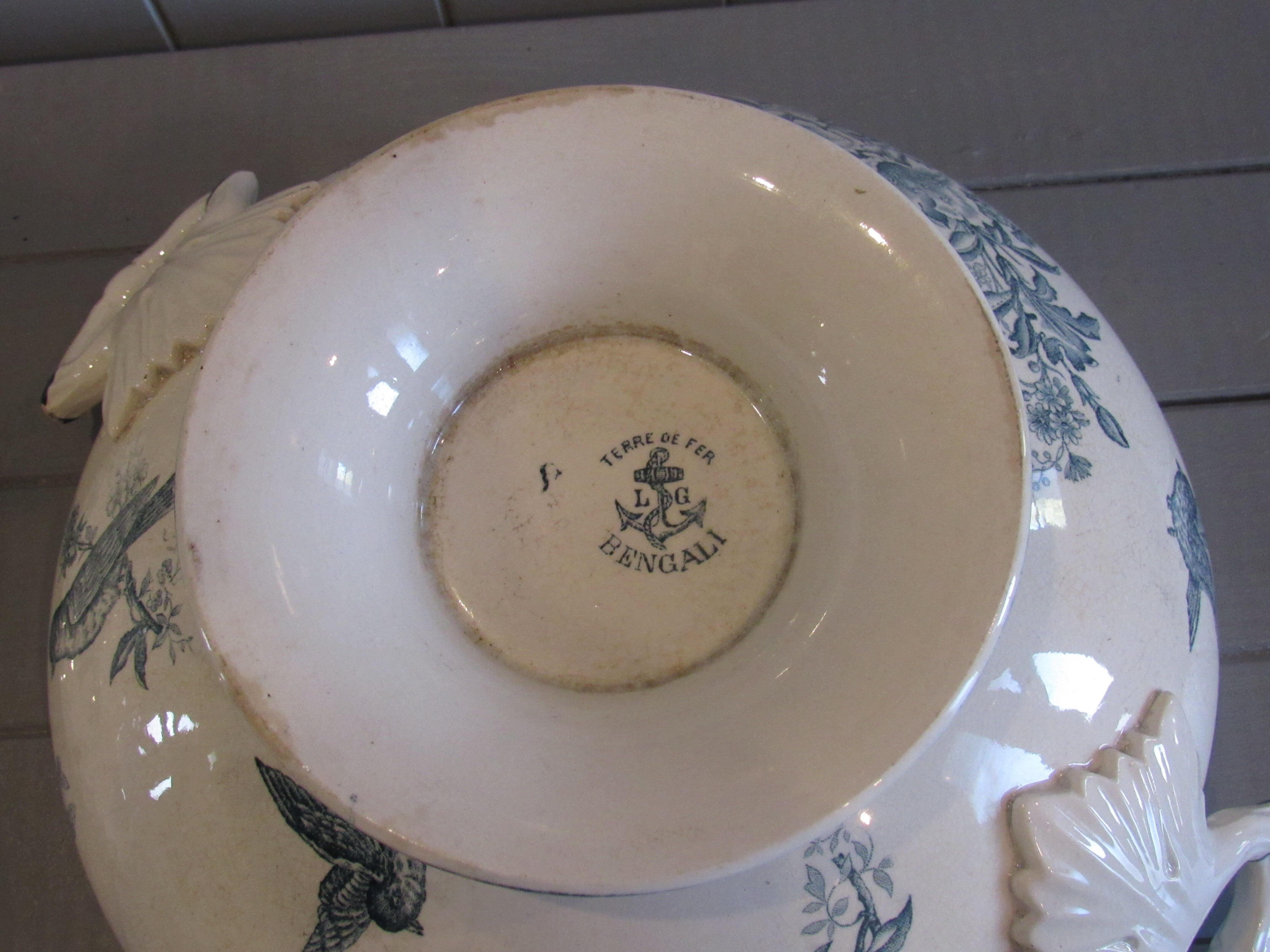 Tierra del Fuego Bengali model