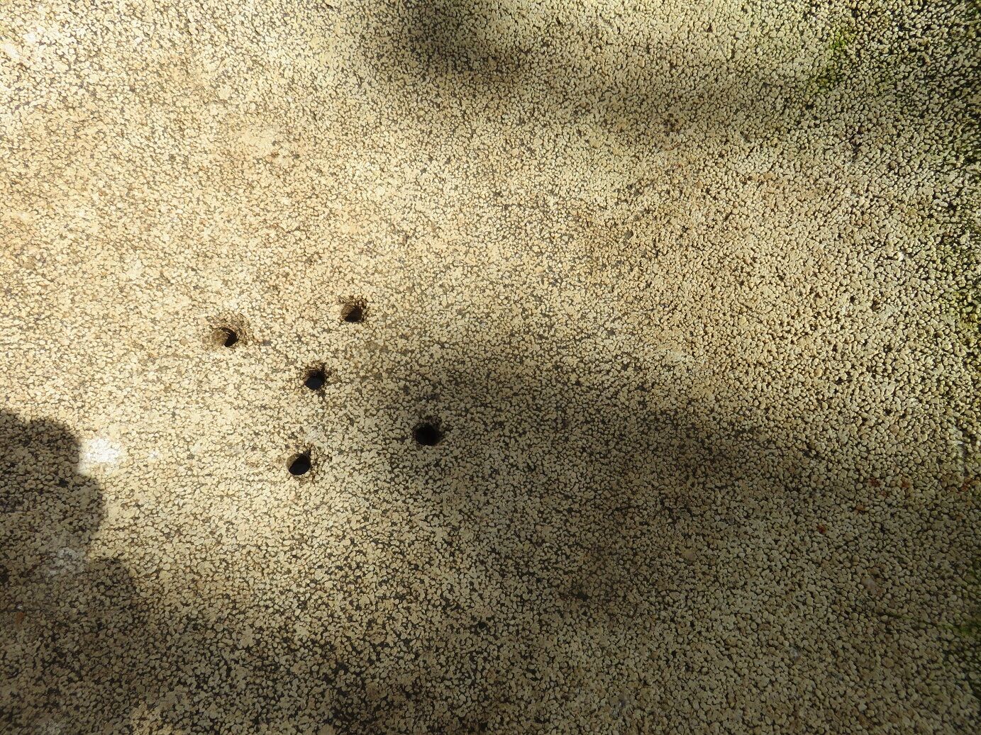 Gardener concrete basin