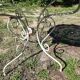 Vintage Fermob garden furniture