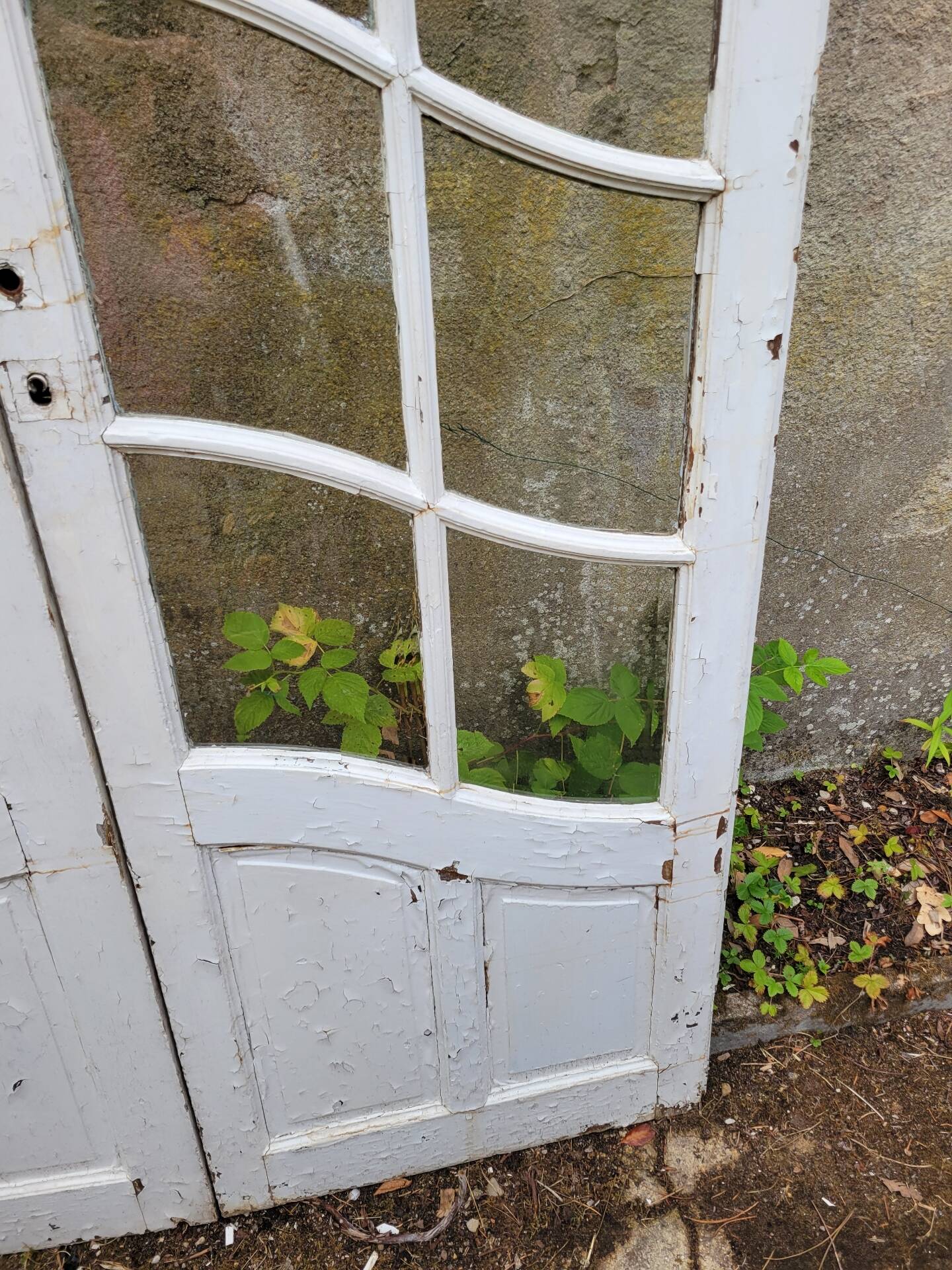 Art Nouveau double doors with small panes.