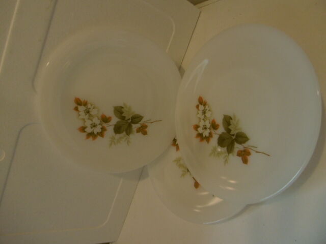 Vintage arcopal plates