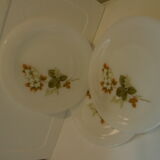 Vintage arcopal plates