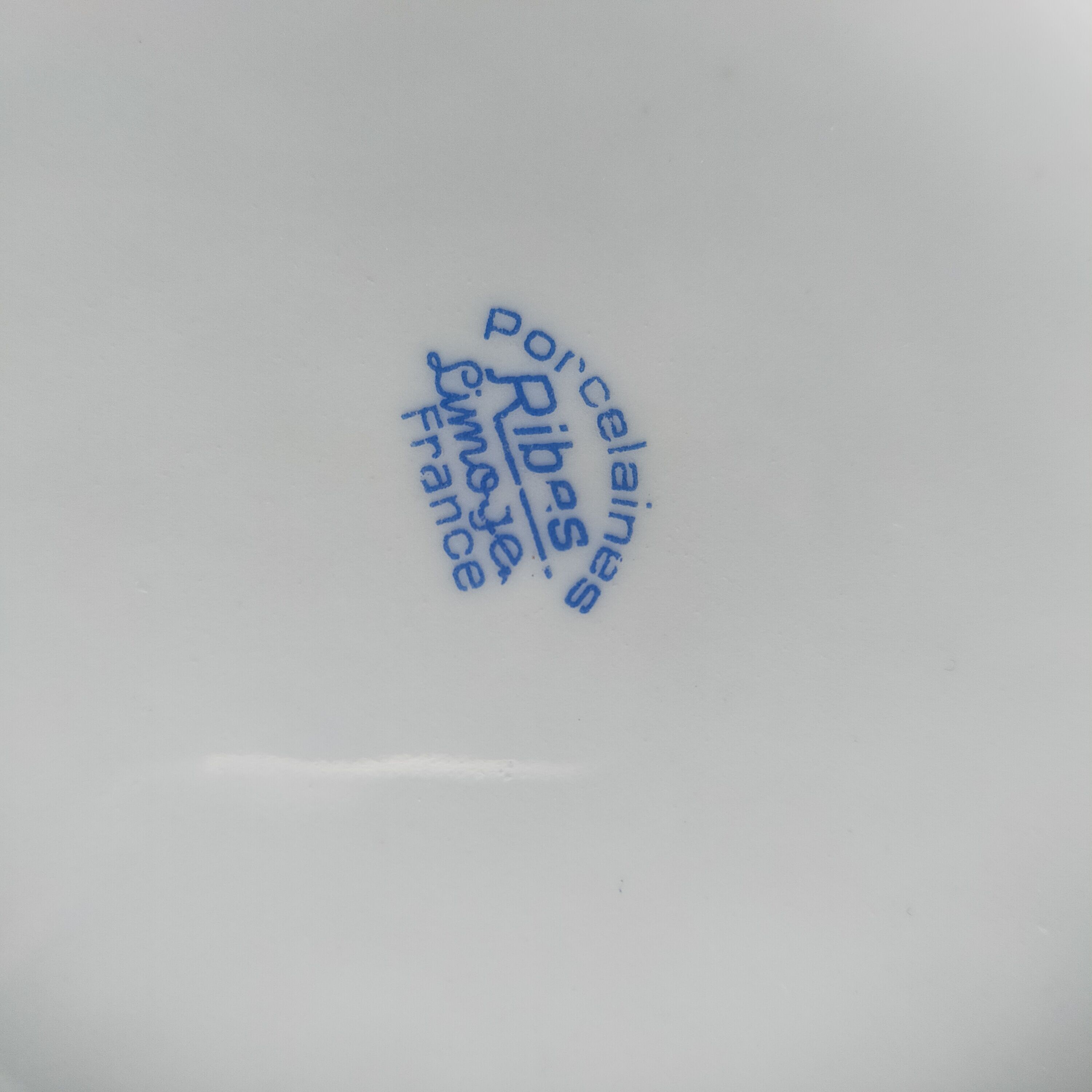 Ribes Limoges porcelain salad bowl