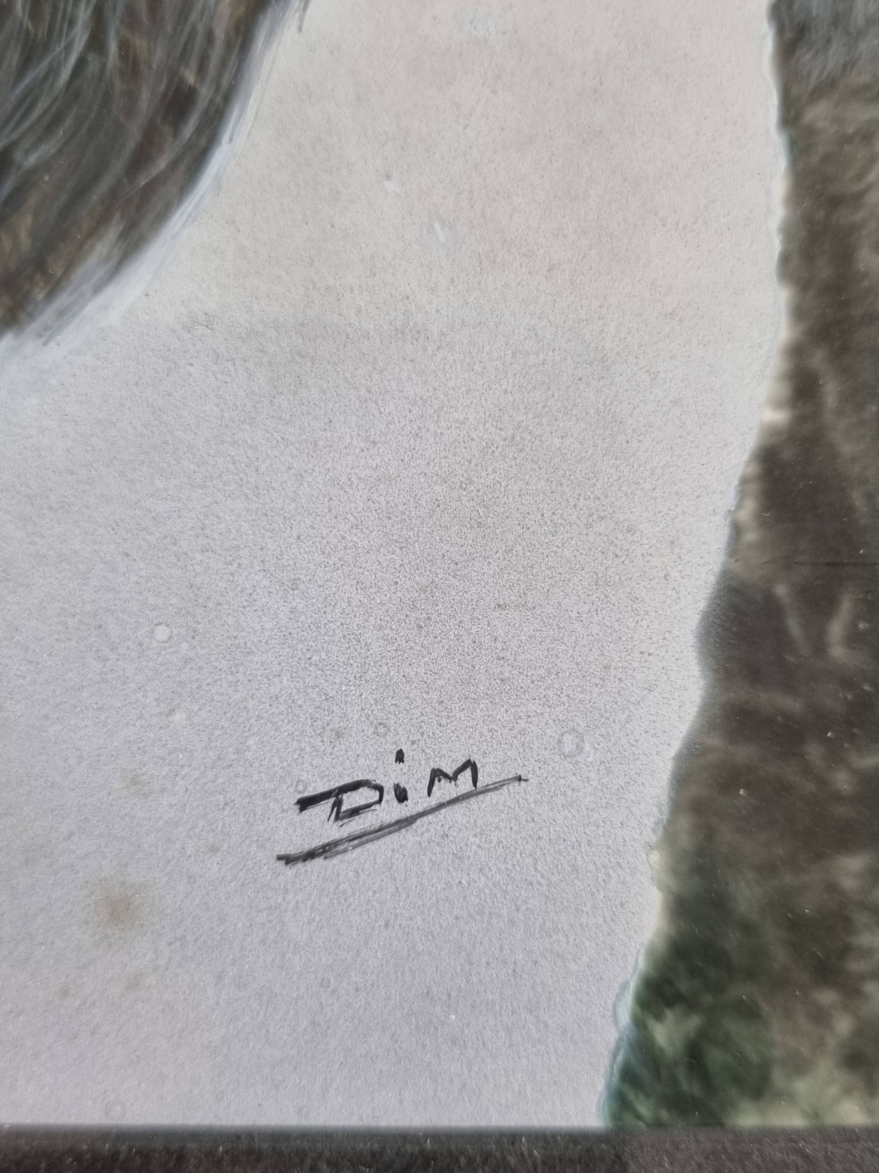 Old photograph, dog portrait signed by Henry Dimont (Dim), 32 x 25 cm