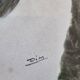 Old photograph, dog portrait signed by Henry Dimont (Dim), 32 x 25 cm