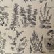 Lithograph on aromatic and melliferous plants - 1920