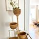 Porte plante en rotin vintage