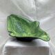 Ceramic catchall signed dimensions: height - 16 cm - width - 51 cm -
