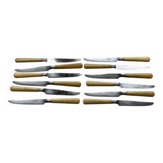 Service of 12 dessert (or cheese) knives in horn and silver.