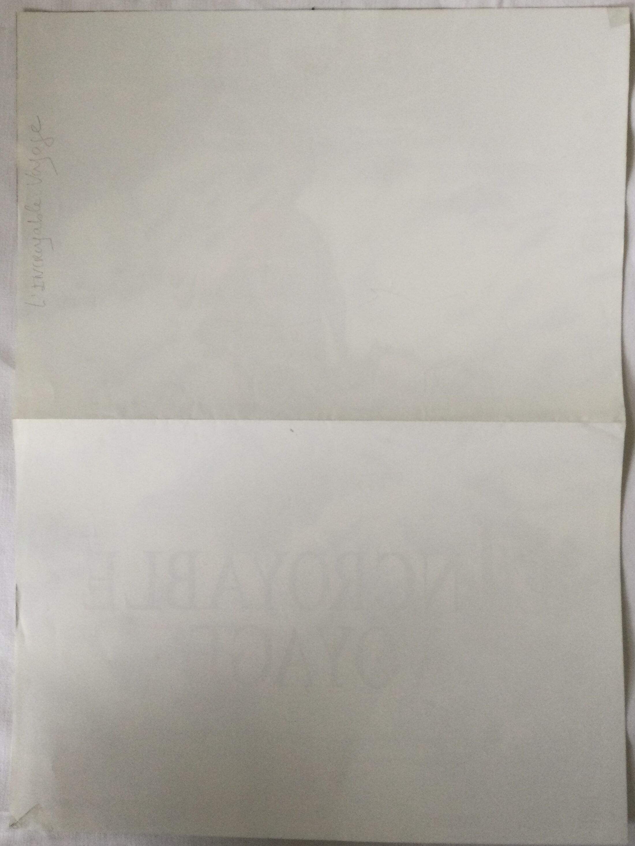 Poster of the film "The Incredible Journey"