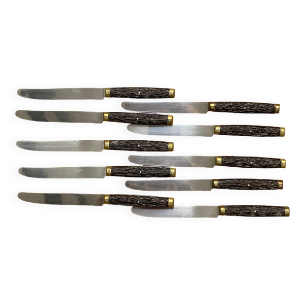Set de 10 couteaux Pradel Laguîole