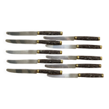 Set de 10 couteaux Pradel Laguîole