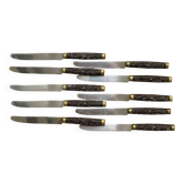Set of 10 Pradel Laguîole knives