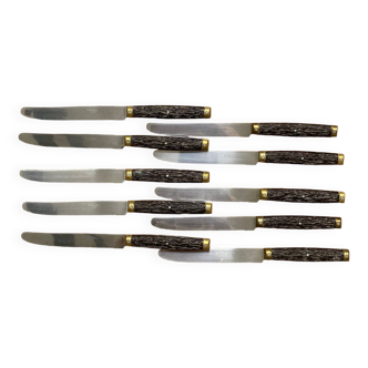 Set of 10 Pradel Laguîole knives